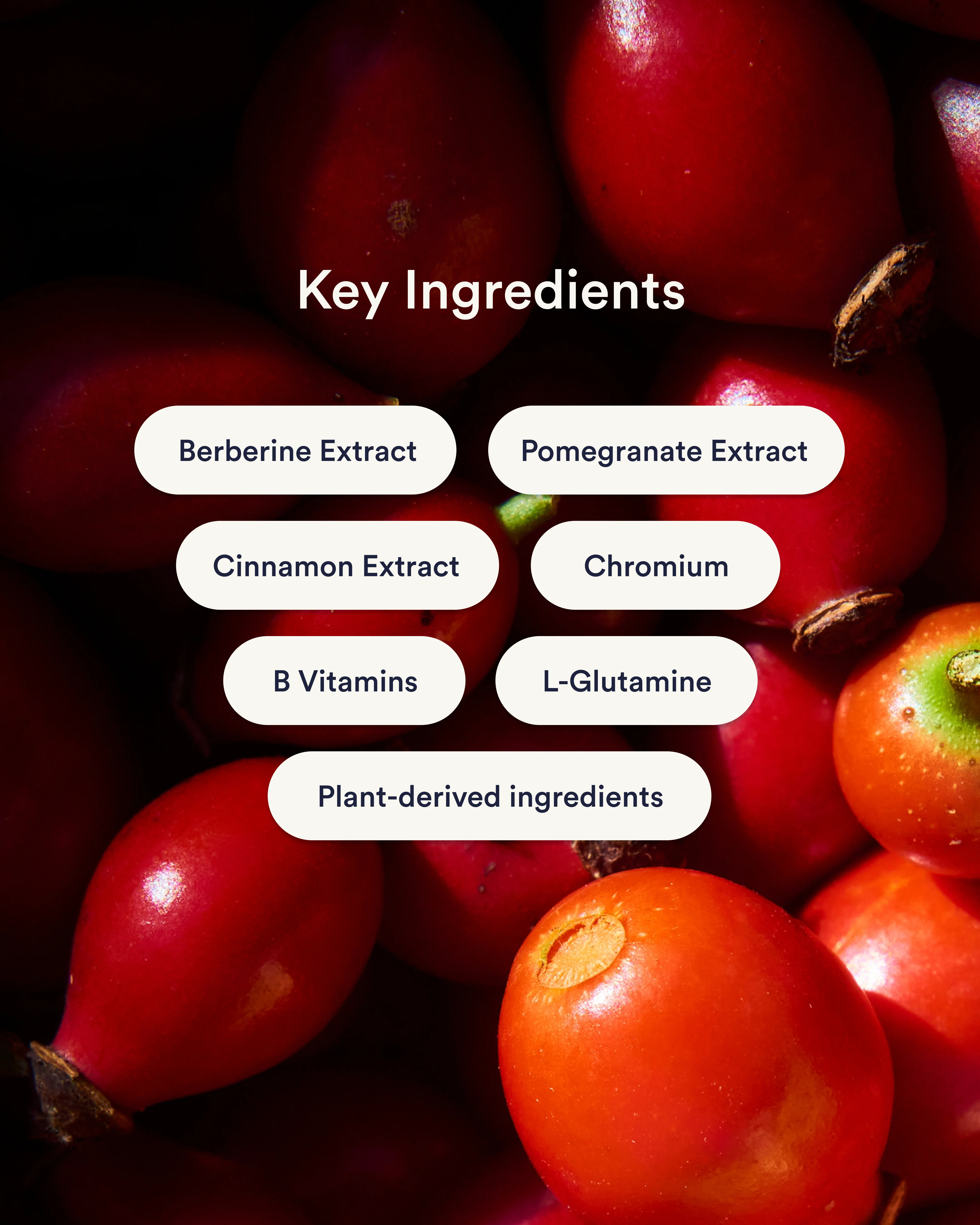 Berberine Patches (Upgraded GLP-1) - Image 3