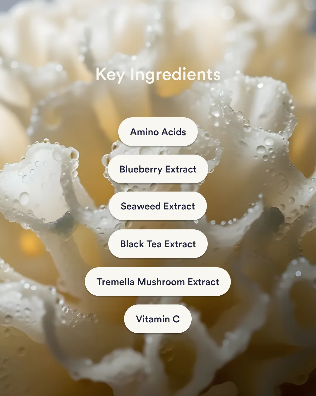 Collagen Patches - Image 3