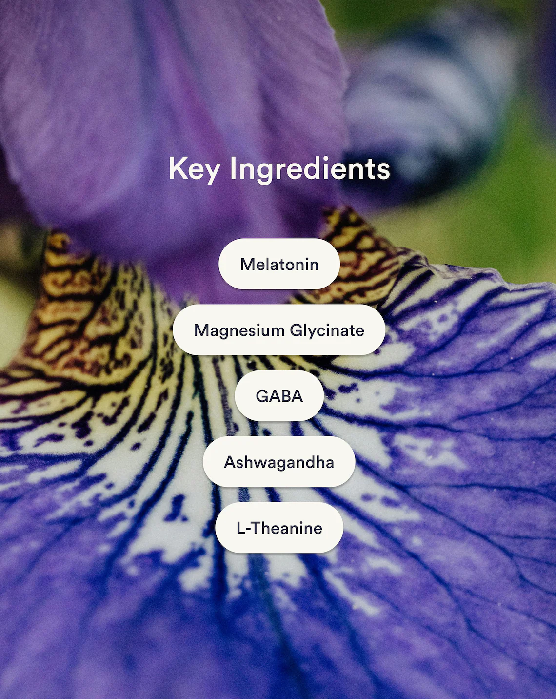 Dream Patches - Melatonin - Image 3