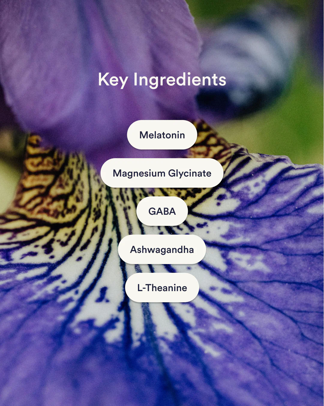 Dream Patches - Melatonin Extra Strong - Image 3