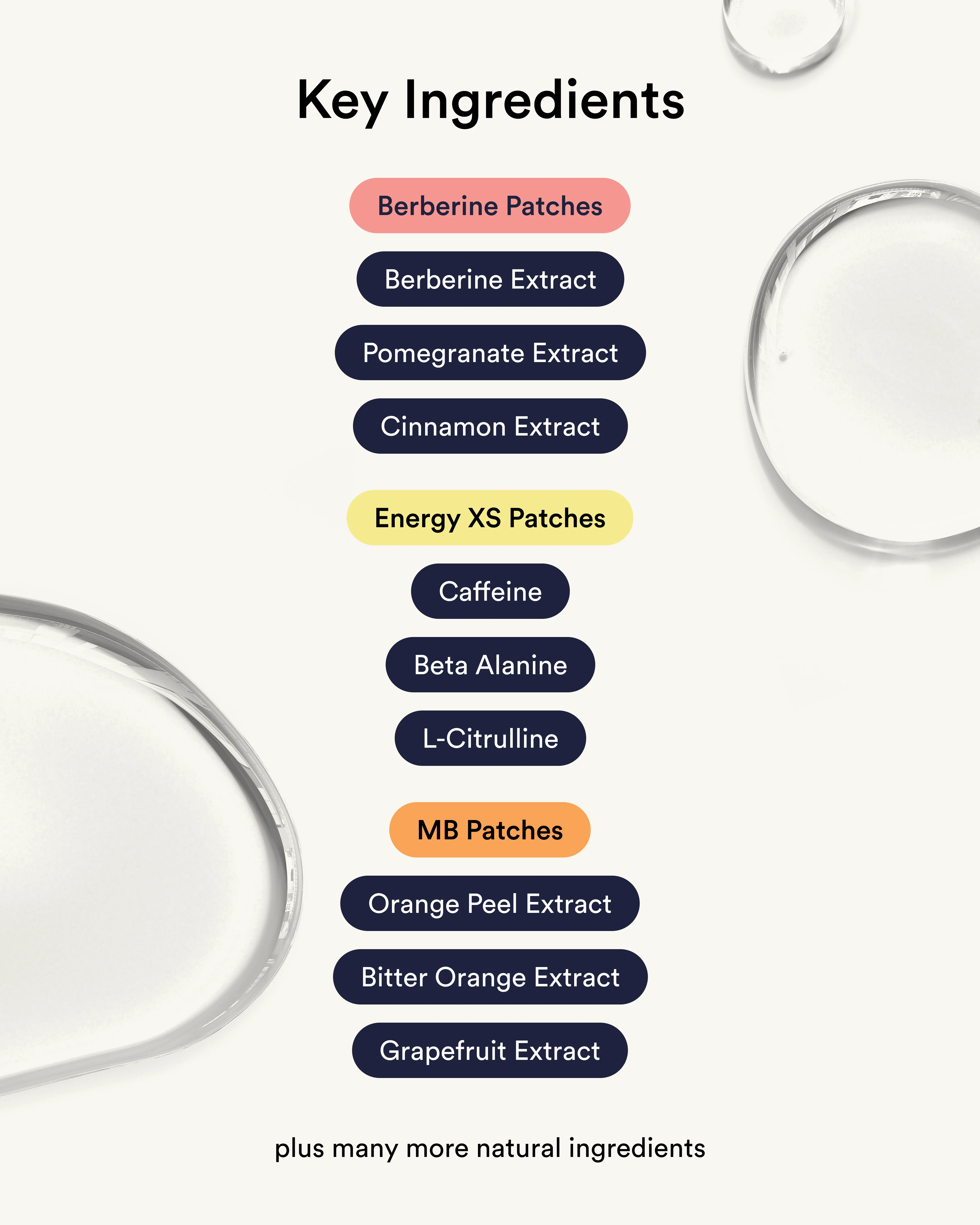 Metabolism + Energy Starter Set - Image 4