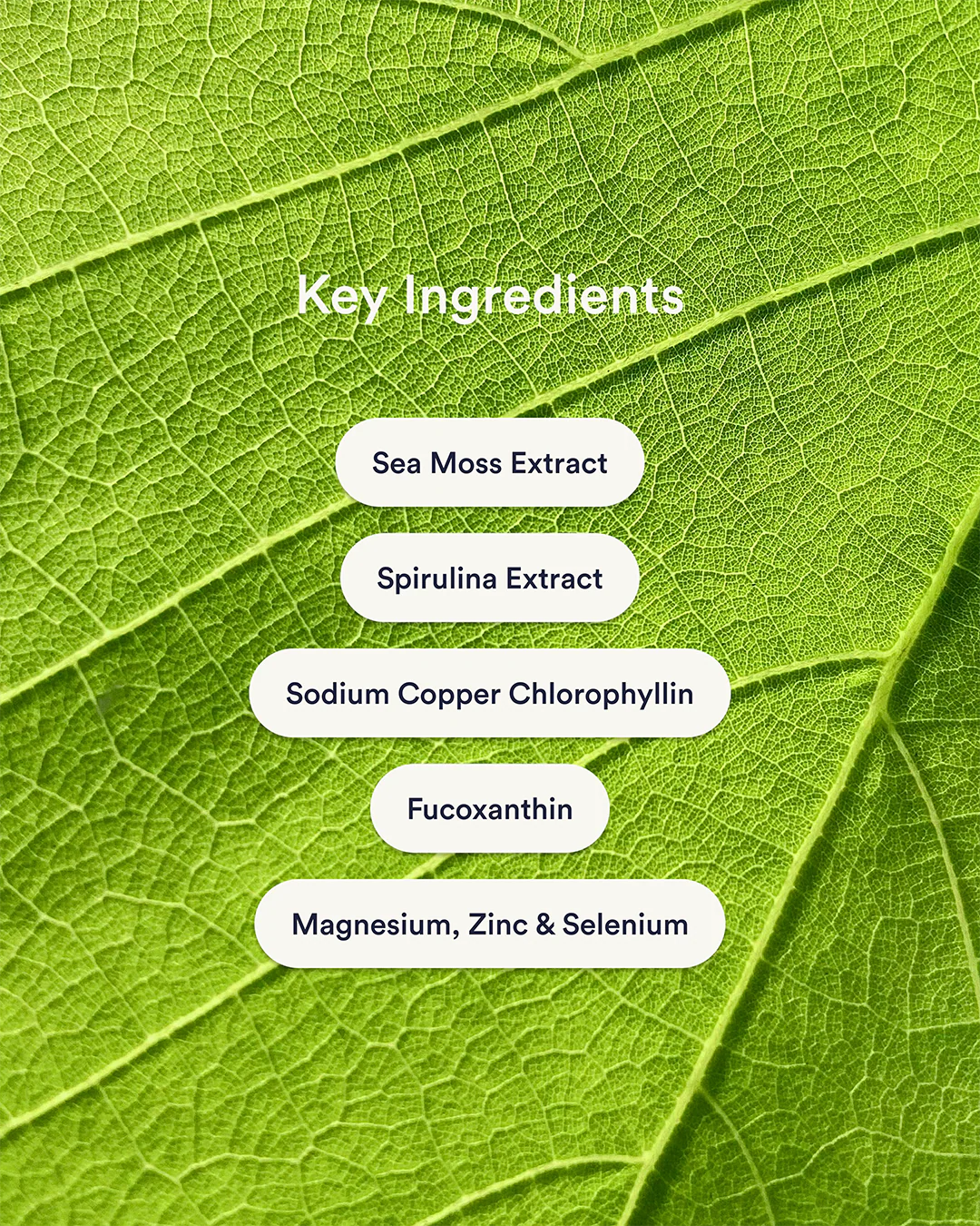 Super Green Patches - Image 3