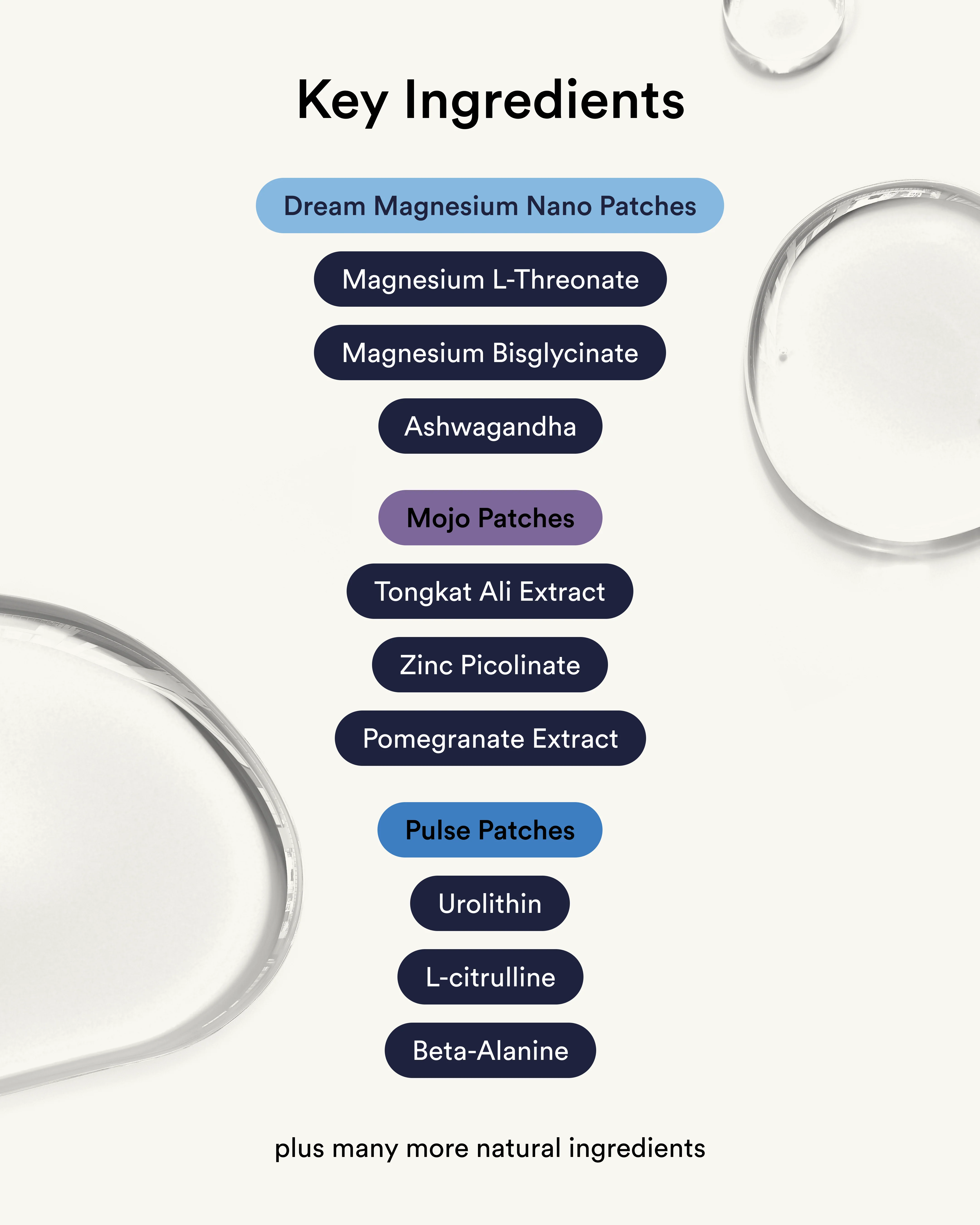 The 24-Hour Performance Loop - Image 4
