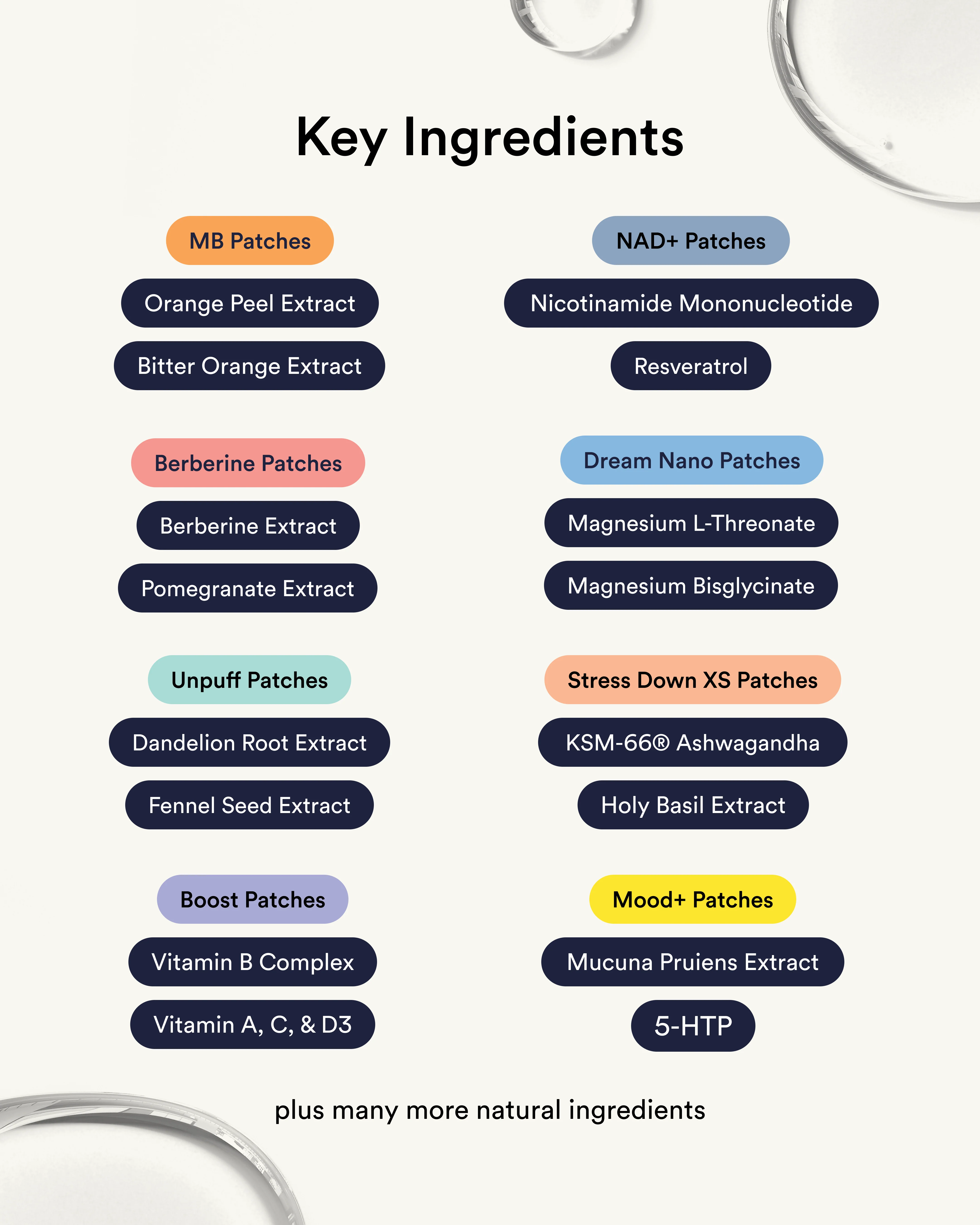 The Metabolic Control Protocol - Image 4