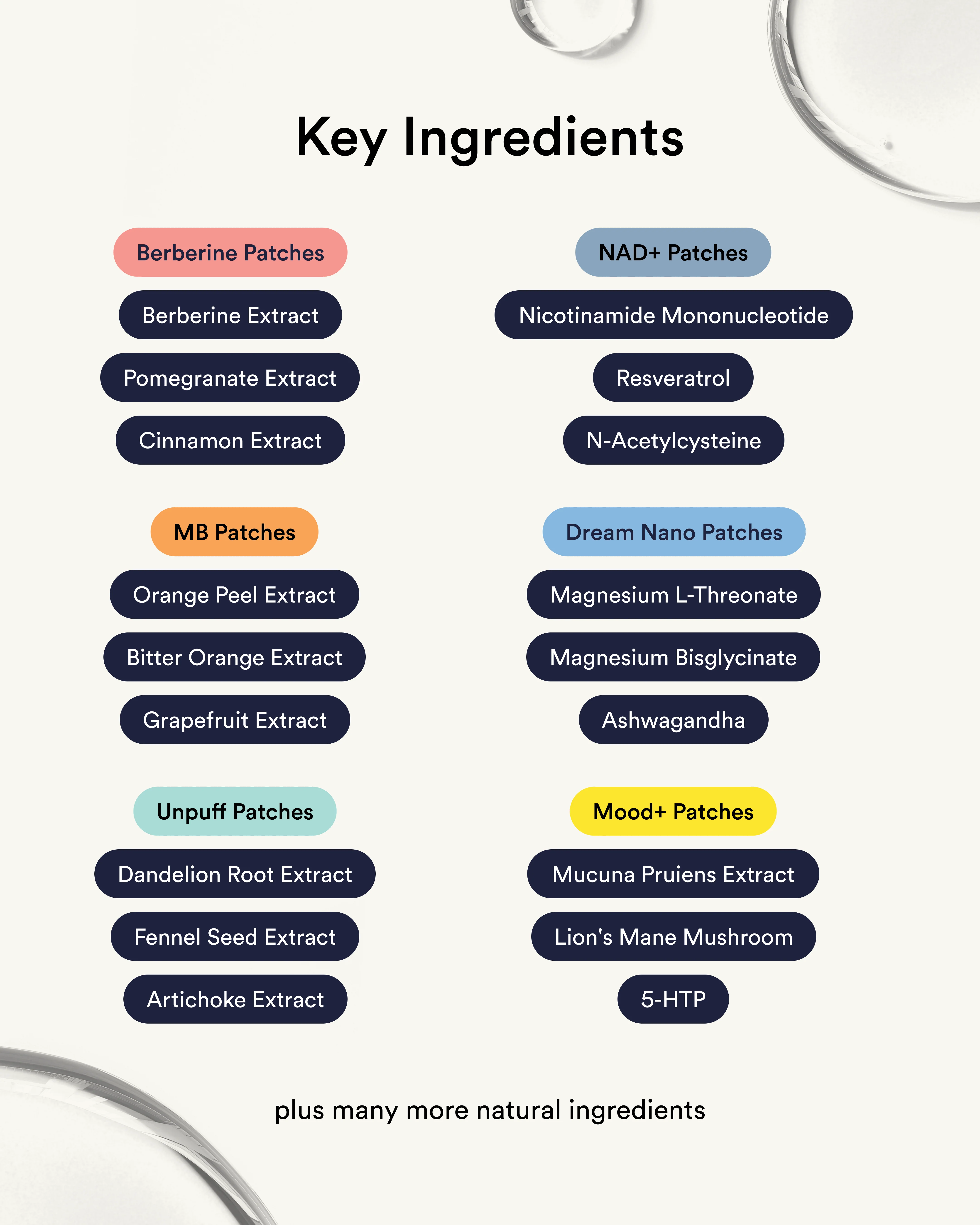 Mind & Metabolism Reset Kit - Image 4